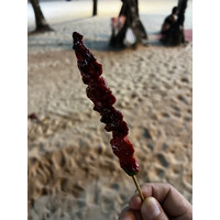 Photo Thaïlande Phuket Patong 2021-12 45