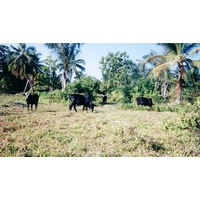 Photo Madagascar 1999-10 28
