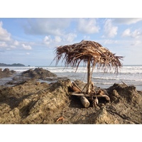 Photo Costa Rica Dominical 2015-03 79