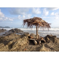 Photo Costa Rica 2015-03 46
