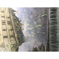 Photo France Château d'Azay-le-Rideau 2017-08 40