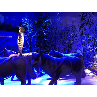 Photo France Paris Vitrines des Grands Magasins 2017-11 29