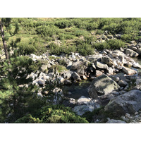 Photo France Corse La Restonica 2020-07 129