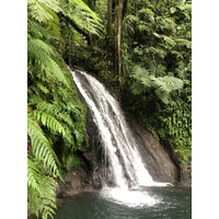 Photo Guadeloupe Cascade aux écrevisses 2021-02 11