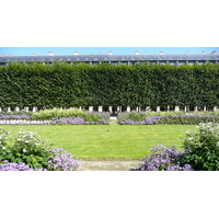 Photo France Paris Palais Royal 2007-08 125