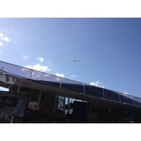 Photo Panama Panama 2015-03 222