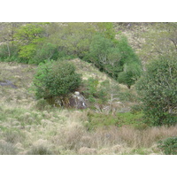 Photo Irlande Kerry Parc National de Killarney 2004-05 6