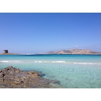 Photo Italie Sardaigne Capo del Falcone 2015-06 68