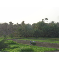 Photo Oman Mahada 2005-03 3