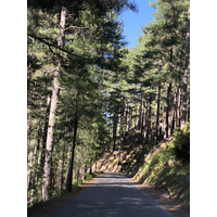 Photo France Corse La Restonica 2020-07 8