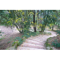 Photo Italie Rome Villa Sciarra 2007-11 36