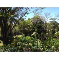 Photo Costa Rica Parc Manuel Antonio 2015-03 73