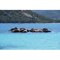 Photo France Corse Plage de Santa Giulia 2017-07 38