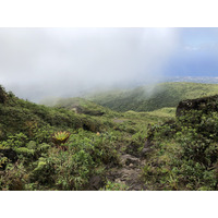 Photo Guadeloupe La Grande Soufrière 2021-02 4