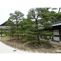 Photo Japon Kyoto Château Nijo 2010-06 80