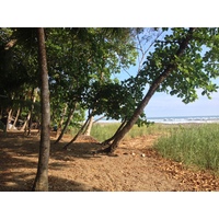 Photo Costa Rica Dominical 2015-03 114