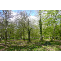 Photo France Château de Chenonceau Jardins de Chenonceau 2008-04 34