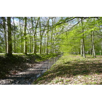 Photo France Château de Chenonceau Jardins de Chenonceau 2008-04 9