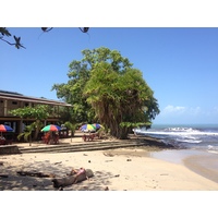 Photo Costa Rica Cahuita 2015-03 260