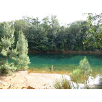 Photo Nouvelle-Calédonie Parc de la Rivière Bleue 2010-05 161