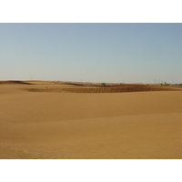 Photo Émirats arabes unis Route de Dubai à Al Ain 2005-03 13