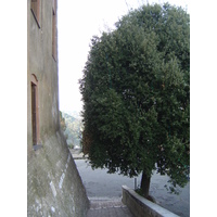 Photo France Les Hauts de Cagnes 2006-01 61