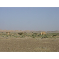 Photo Oman Route de Buraimi à Mahada 2005-03 34