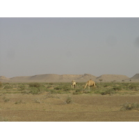 Photo Oman Route de Buraimi à Mahada 2005-03 27