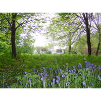 Photo Irlande Kerry Parc National de Killarney Muckross Lake 2004-05 8