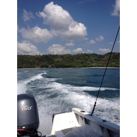 Photo Costa Rica Montezuma 2015-03 457