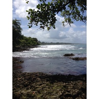 Photo Costa Rica Cahuita 2015-03 60