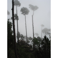 Photo Pakistan Murree 2006-08 156