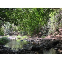 Photo Costa Rica Montezuma 2015-03 166