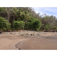 Photo Costa Rica Montezuma 2015-03 588