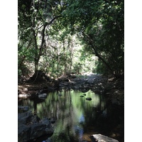 Photo Costa Rica Montezuma 2015-03 234