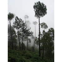 Photo Pakistan Murree 2006-08 39