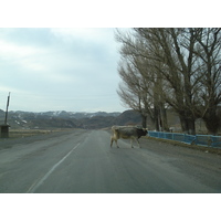 Photo Kazakhstan Route d'Almaty au canyon de Charyn 2007-03 54