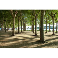 Photo France Libourne 2010-08 15