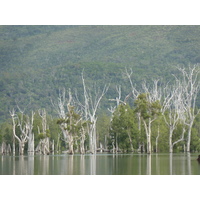 Photo Nouvelle-Calédonie Parc de la Rivière Bleue 2010-05 148