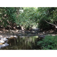 Photo Costa Rica Montezuma 2015-03 162
