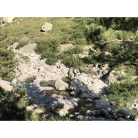 Photo France Corse La Restonica 2020-07 70