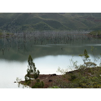 Photo Nouvelle-Calédonie Parc de la Rivière Bleue 2010-05 24