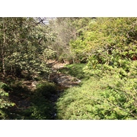 Photo Costa Rica Montezuma 2015-03 315