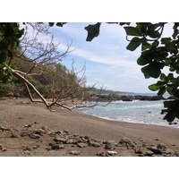 Photo Costa Rica Montezuma 2015-03 488
