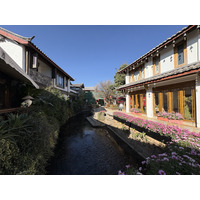 Photo Chine Lijiang 2026-01 275
