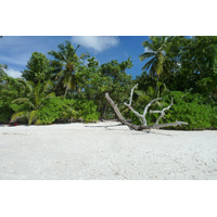 Photo Seychelles Anse Lazio 2011-10 171