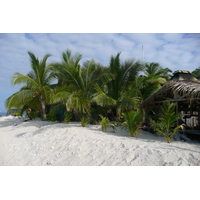 Photo Îles Fidji île Beachcomber 2010-05 45