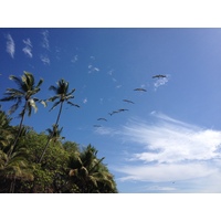 Photo Costa Rica Montezuma 2015-03 496