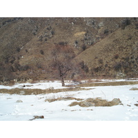 Photo Kazakhstan Parc national d'Ile-Alatau 2007-03 108