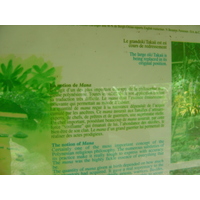 Photo Polynésie Marquises 2006-04 138